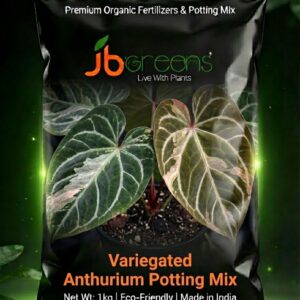 Variegated Anthurium Potting Mix by JB Greens
