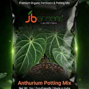 Anthurium Potting Mix by JB Greens