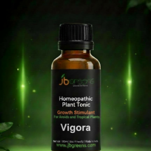 Vigora – Homeopathic Growth Stimulant for Aroids & Tropical Plants - 50ML