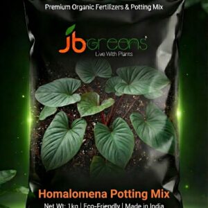 Homalomena Potting Mix by JB Greens