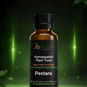 Pastara – Homeopathic Plant Tonic for Aroids & Tropical Plants - 50ML