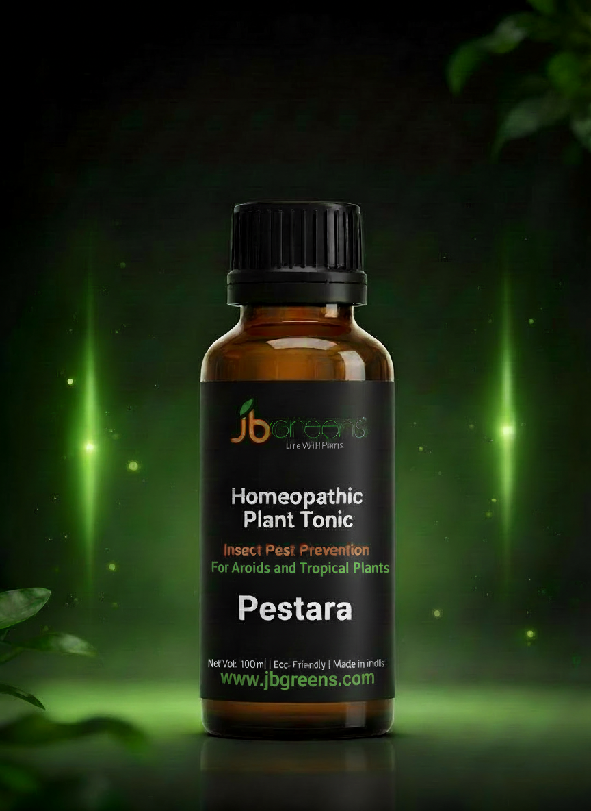 Pastara – Homeopathic Plant Tonic for Aroids & Tropical Plants - 50ML