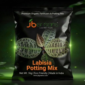 Labisia Potting Mix by JB Greens