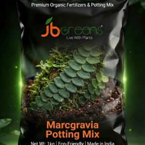 Marcgravia Potting Mix by JB Greens