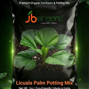 Licuala Palms Potting Mix by JB Greens
