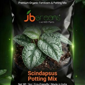 Scindapsus Potting Mix by JB Greens