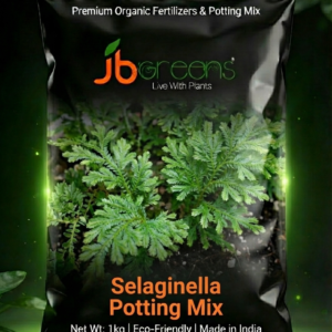 Selaginella Potting Mix by JB Greens